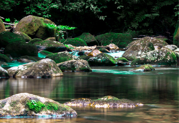 Água do rio fluindo dentro das Reservas da SPVS. Foto: Reginaldo Ferreira